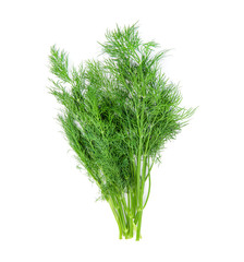 dill isolated on white