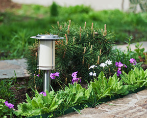 Fototapeta na wymiar Solar-powered lamp on garden background.