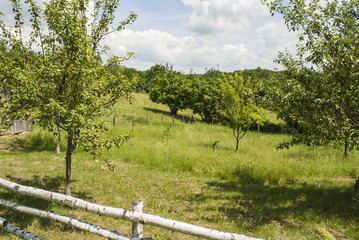 Bosnia