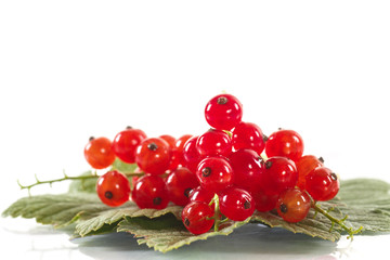 redcurrant