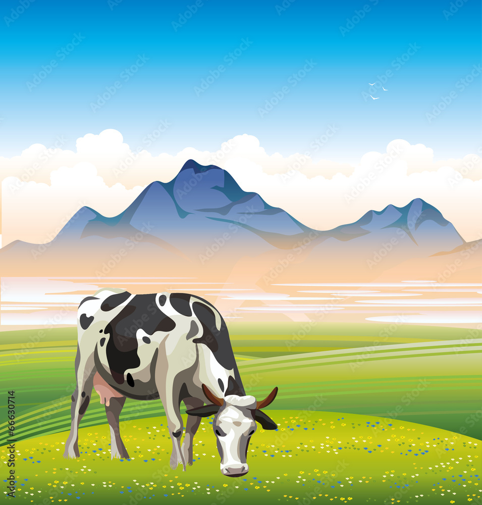 Poster cow and green meadow.