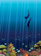 Obraz premium Coral reef and two freedivers.