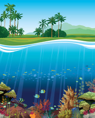 Obraz premium Coral reef with underwater creatures.