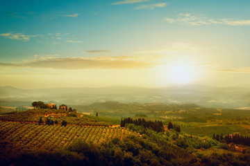 traditional villa in Tuscany, famous vineyard in Italy