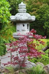 asian garden background