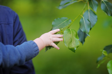 Baby holding branch of the tree