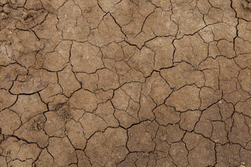 cracked earth