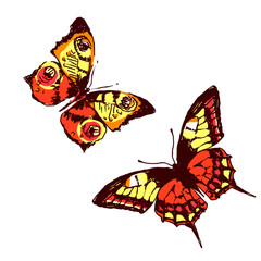 butterflies design