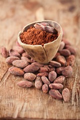 cocoa powder in spoon on roasted cocoa chocolate beans backgroun