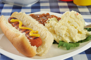 Mustard dog