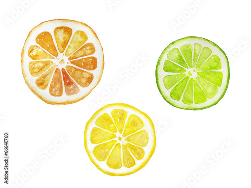 オレンジ レモン ライムの水彩イラスト Wall Mural Yoriko Katayama