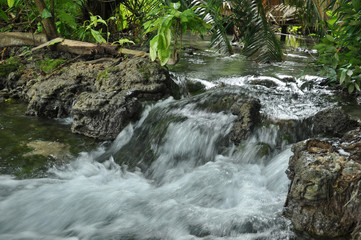 A small jungle cascade
