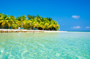 Paradise Beach on beautiful island South Water Caye - Belize