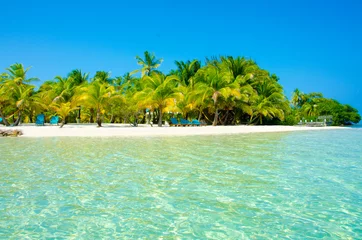Foto op Plexiglas Paradise Beach on beautiful island South Water Caye - Belize © Simon Dannhauer