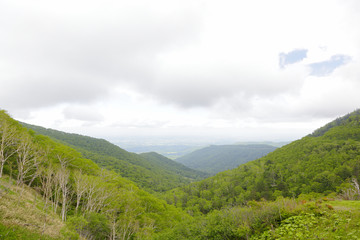 十勝の風景　Tokachi Hokkaido Japan