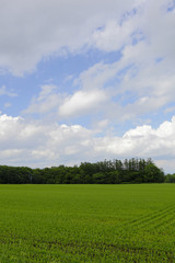北海道の風景　Scenery of Hokkaido　Japan