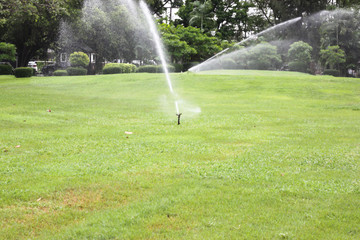 sprinkler in garden