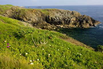coast, Pointe de Saint Mathieu, Brittany, France
