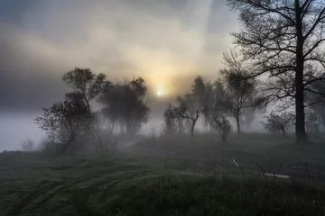 Foto op Canvas Foggy landscape with a tree silhouette © Dmytro Kosmenko