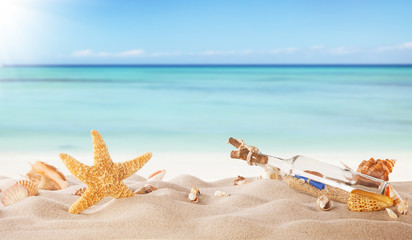 Fototapeta na wymiar Summer beach with strafish and shells