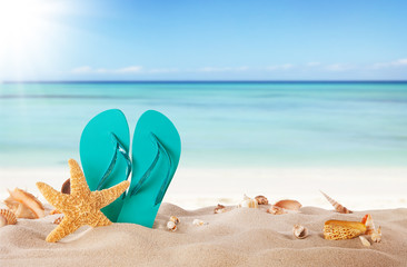 Summer beach with blue sandals and shells