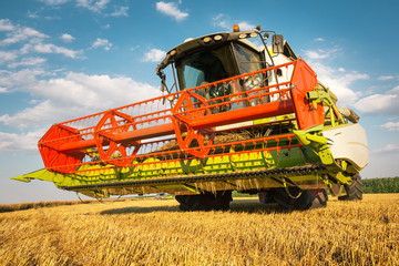 Obraz premium Combine harvesting wheat