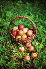 Apple.