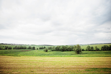 Obraz premium Nature.