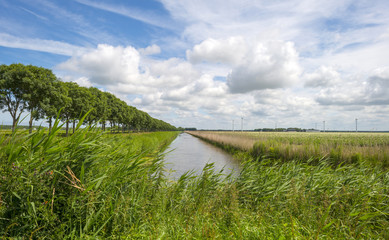 Fototapeta na wymiar Canal through a rural landscape in spring