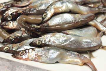 Fresh small fish background at a market