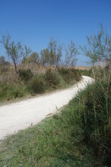 Fototapeta premium Bright White Path