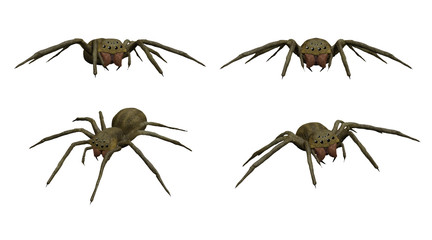 3D rendered scary spider