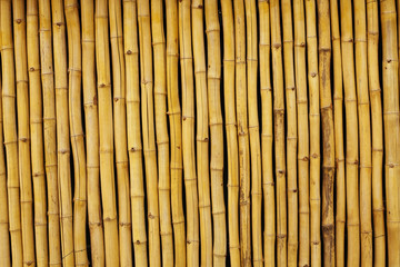 Bambuswand 02