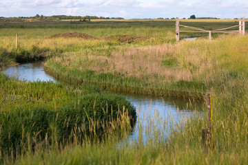 View at Het Zwin, Belgium