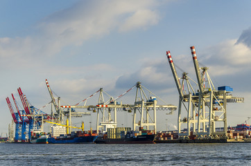 Obraz premium Container Terminal im Hafen Hamburg