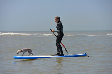 surfer avec son chien
