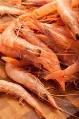 gamberi  di mare rossi pescati