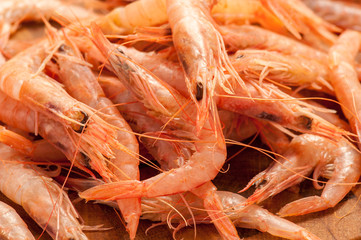 Gamberi  di mare rossi pescati