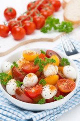 salad with mozzarella, fresh herbs and colorful cherry tomatoes