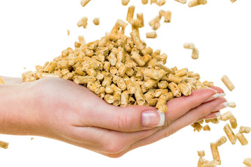 Hand mit Pellets als alternatie Energie