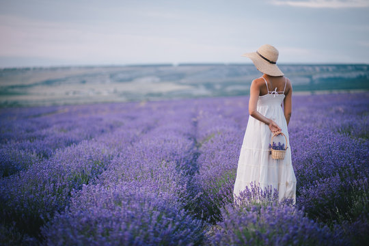 Beautiful Young Woman Posing In A Lavender Field