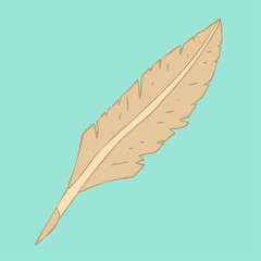 feather pen vector illustration, hand drawn