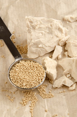 fresh and dried yeast on kitchen paper