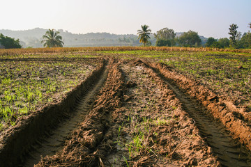 Fototapeta na wymiar Tractor tracks in muddy field