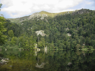 Fototapeta na wymiar Looking-glass lake in the Vosges