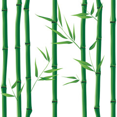 Fototapeta na wymiar bamboo seamless
