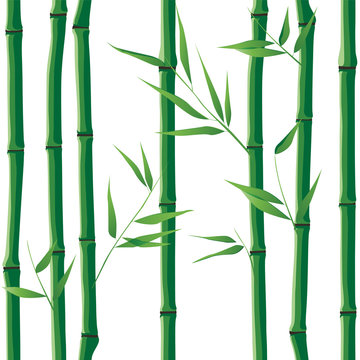 bamboo seamless