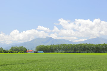 北海道の農家　Farmers in Hokkaido　Japan