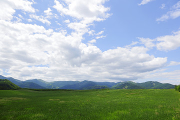 Fototapeta na wymiar 十勝の風景　Tokachi Hokkaido Japan