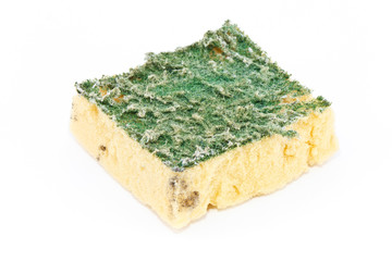 Old dirty sponges on white background